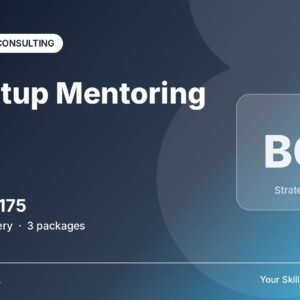 Startup Mentoring