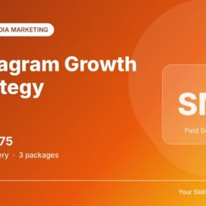 Instagram Growth Strategy