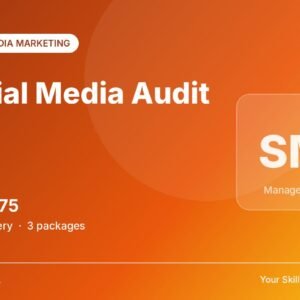 Social Media Audit